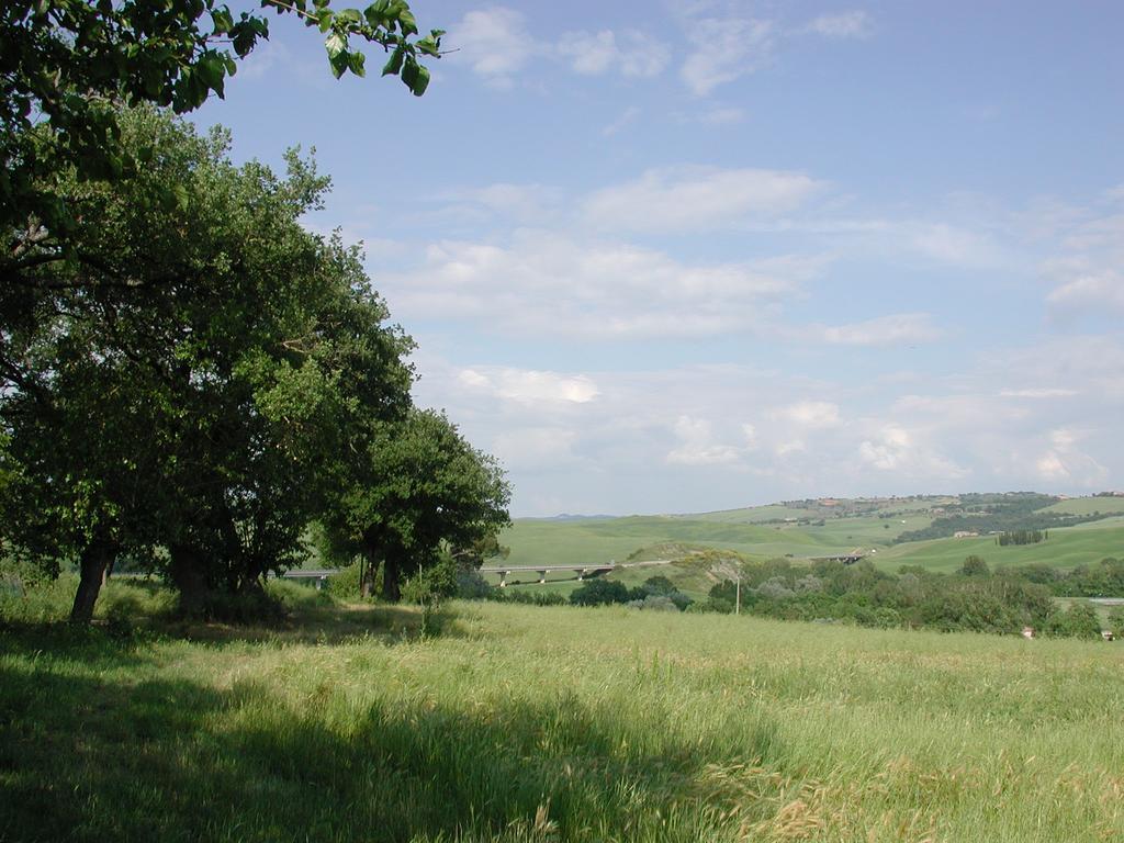 Passaggio In Val D' Orcia Apartment Torrenieri Ngoại thất bức ảnh
